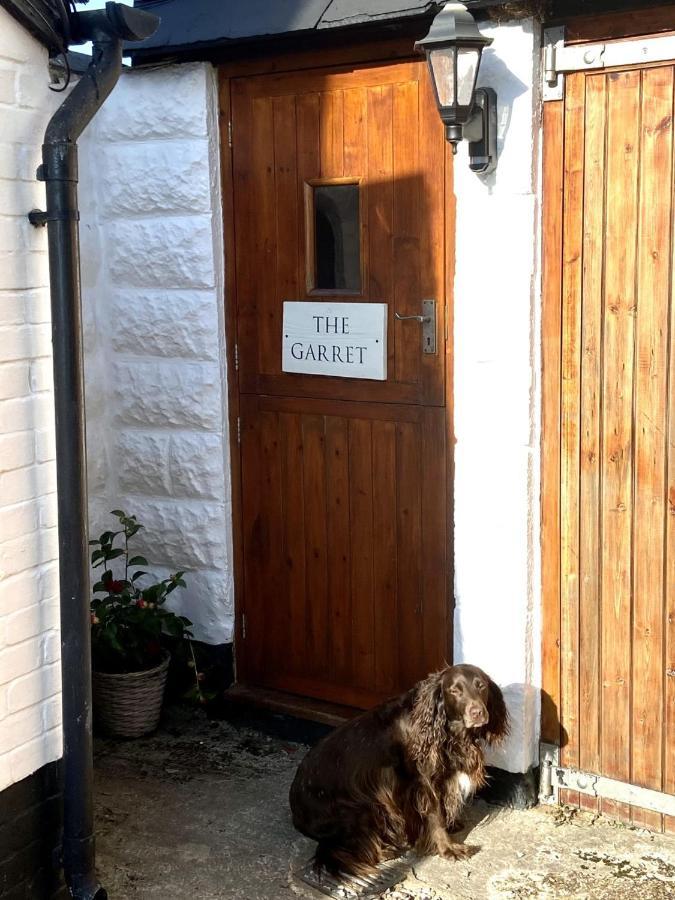 Ferienwohnung Dog Friendly Studio Flat Topsham Exterior foto